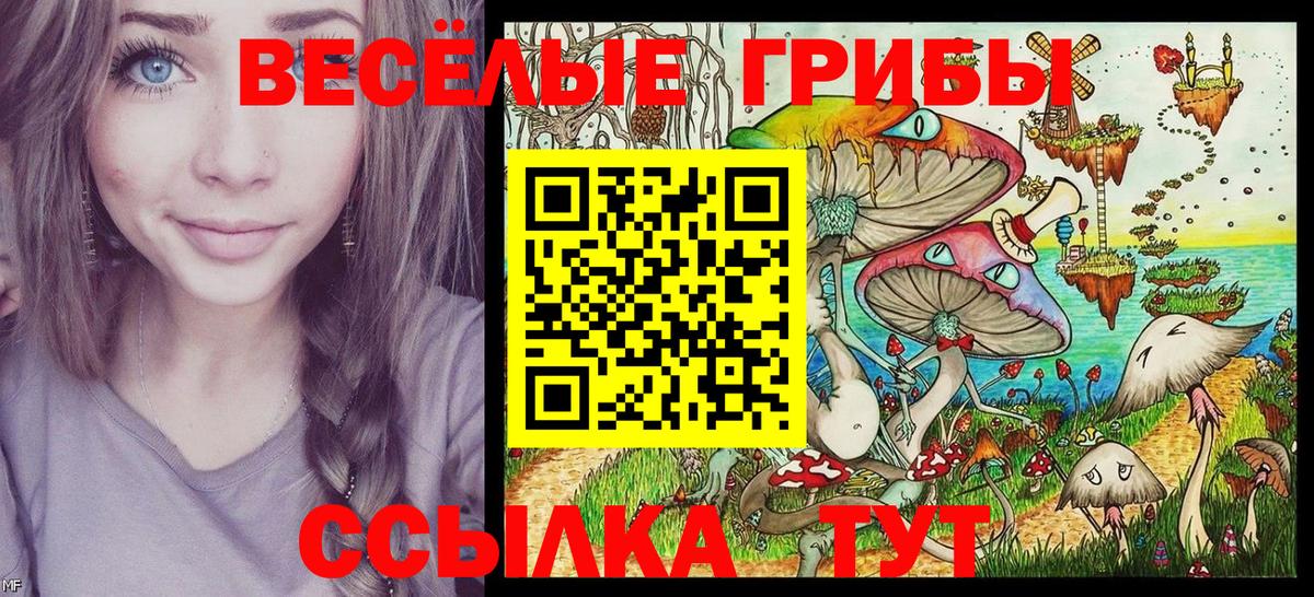 Галлюциногенные грибы GOLDEN TEACHER  Псилоцибиновые грибы Psilocybe  Биробиджан  Вход с VPN 